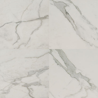 MS International Regallo 24" x 24" Matte Calacatta Isla