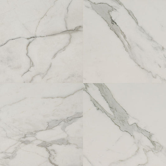 MS International Regallo 24" x 24" Matte Calacatta Isla