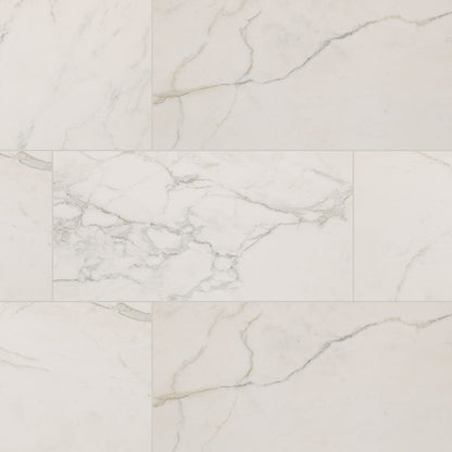 MS International Regallo 24" x 48" Matte Calacatta Isla