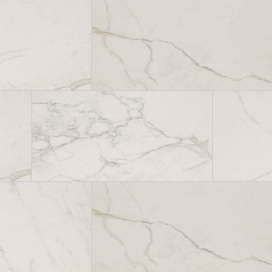MS International Regallo 24" x 48" Polished Calacatta Isla