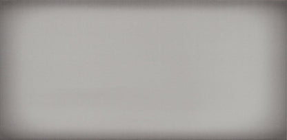 Emser Ombre 6"x12" Polished Silver
