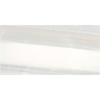 Daltile Pietra Divina 12" X 24" Polished Calacatta Dolomiti