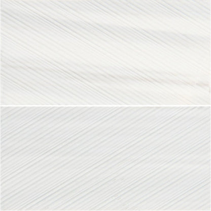 Daltile Pietra Divina 6" X 12" Bamboo Calacatta Dolomiti