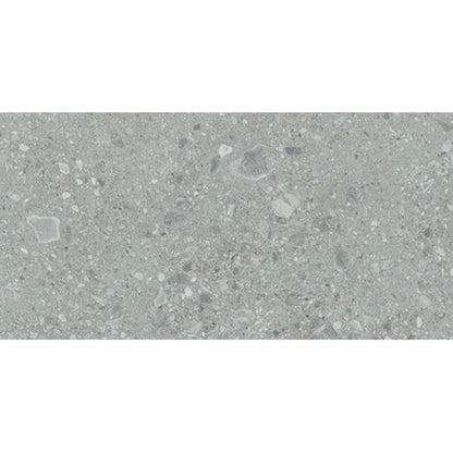 Daltile Assemble 12" X 24" Proxy