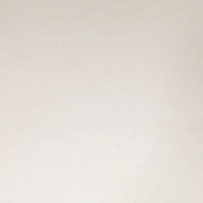 Daltile Pzazz 12" X 24" White Ritz