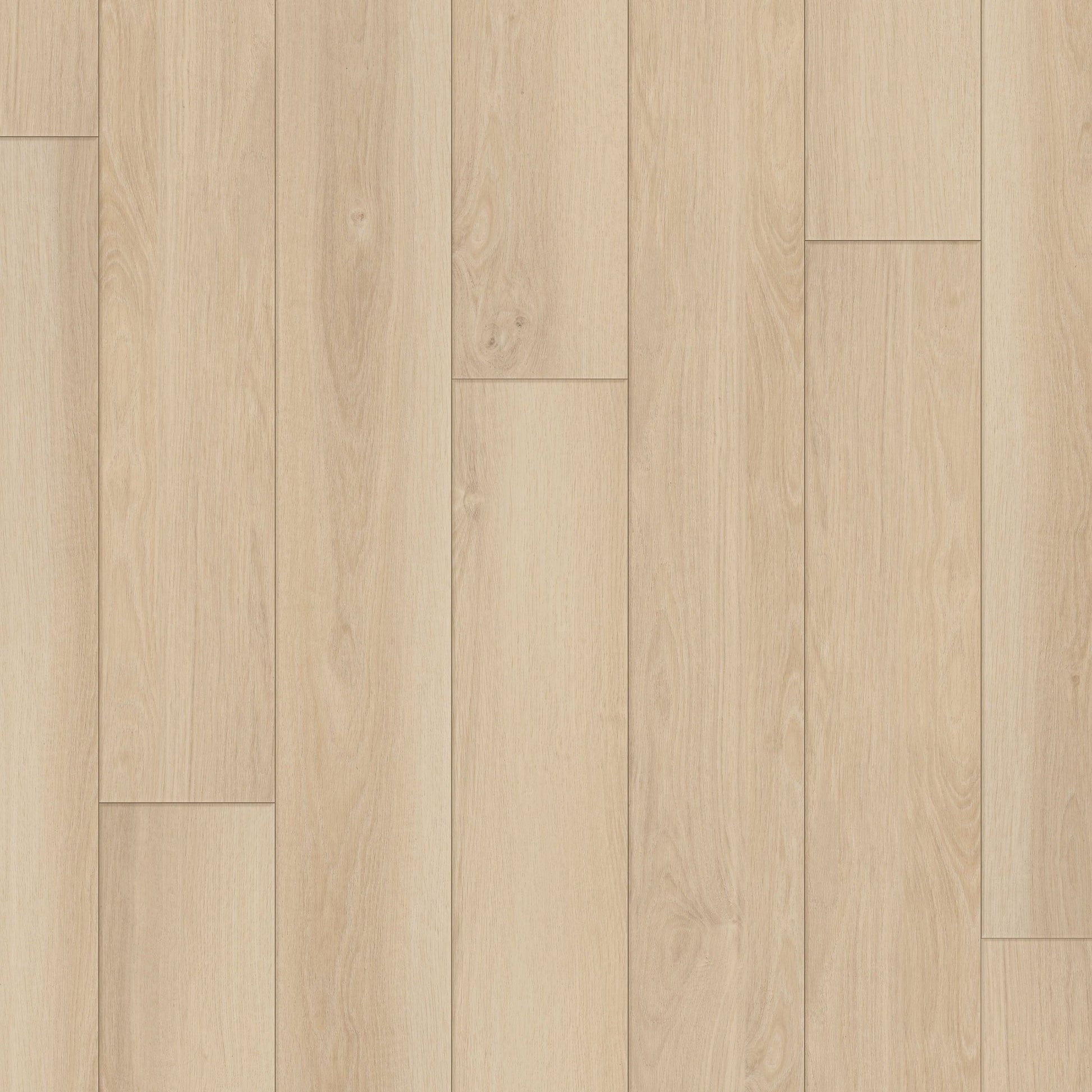 Happy Feet Regency 7" x 59.05" 8mm 20mil Stabilicor Plus (SPC) Sandy Bay