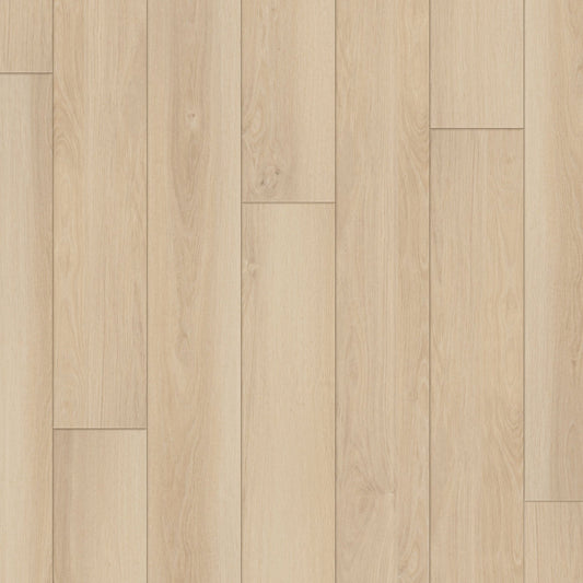 Happy Feet Regency 7" x 59.05" 8mm 20mil Stabilicor Plus (SPC) Sandy Bay