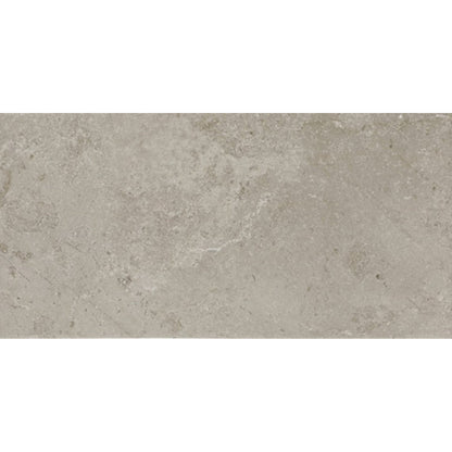Daltile Scripter 12" X 24" Mentor
