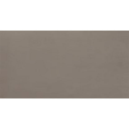 Daltile Fixture 24" X 48" Matte Soil