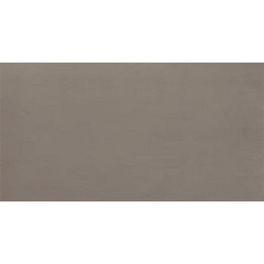 Daltile Fixture 24" X 48" Matte Soil