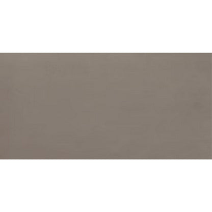 Daltile Fixture 24" X 48" Polished Soil