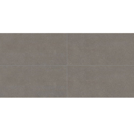 Daltile Astronomy 12" X 24" Solstice