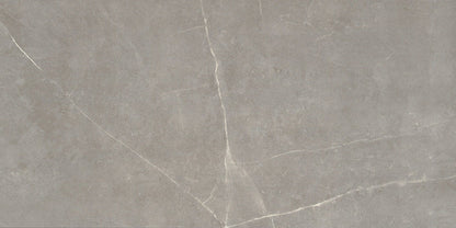 Emser Sterlina II 12"x24" Polished Dove