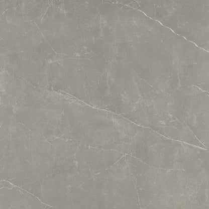 Emser Sterlina II 24"x24" Matte Dove