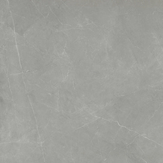 Emser Sterlina II 24"x24" Polished Gray