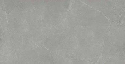 Emser Sterlina II 24"x47" Polished Gray