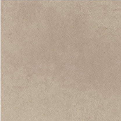 Daltile Cohesion 24" X 24" Polished Light Grey
