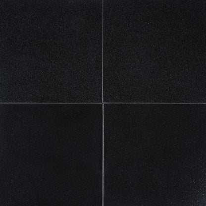 MS International Natural Stone Granite 12" x 12" Polished Absolute India Black