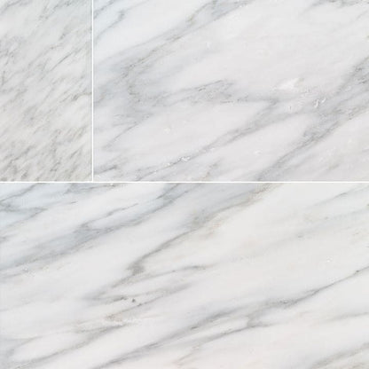 MS International Natural Stone Marble 6" x 12"  Arabescato Carrara