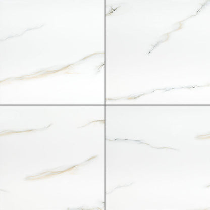 MS International Aria 24" x 24" Polished Bianco