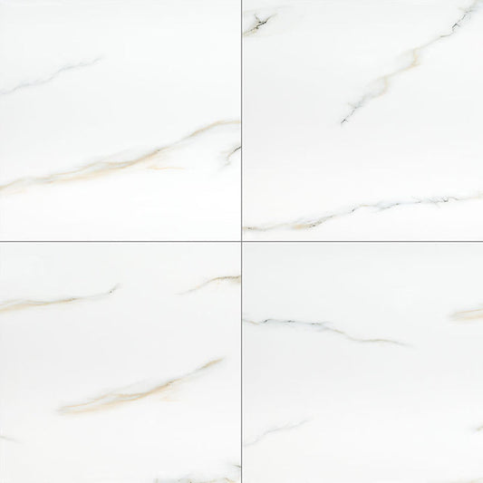 MS International Aria 24" x 24" Polished Bianco