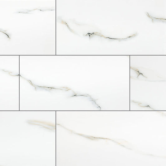 MS International Aria 24" x 48" Polished Bianco