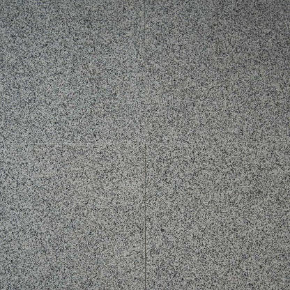 MS International Natural Stone Granite 12" x 12" Polished Bianco Catalina