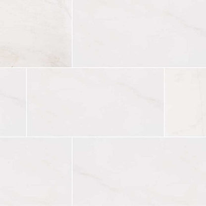MS International Natural Stone Marble 12" x 24" Honed Bianco Dolomite