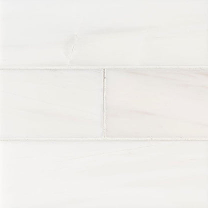 MS International Natural Stone Marble 4" x 12" Polished Bianco Dolomite