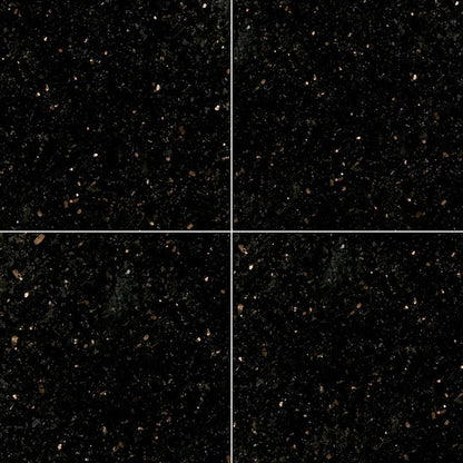 MS International Natural Stone Granite 12" x 12" Polished Black Galaxy