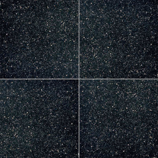MS International Natural Stone Granite 18" x 18" Polished Black Galaxy