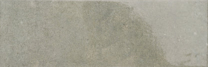 Emser Pagoni 4"x13" Polished Mint