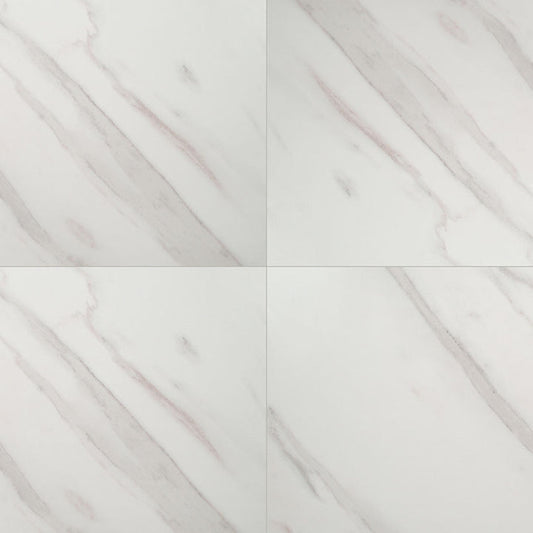 MS International Pietra 24" x 24" Matte Calacatta