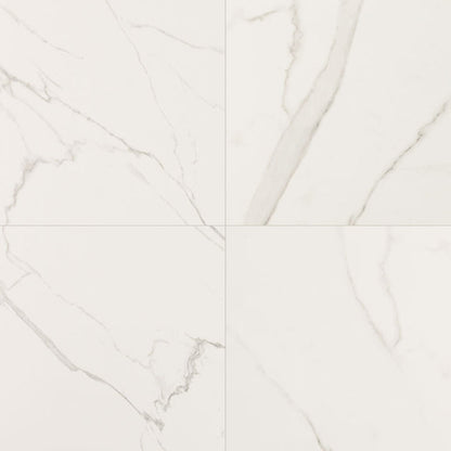 MS International Kaya 24" x 24" Polished Calacatta Venato