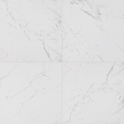 MS International Pietra 24" x 24" Polished Carrara