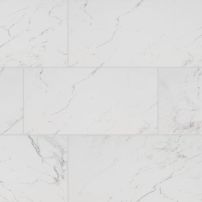 MS International Pietra 12" x 24" Polished Carrara
