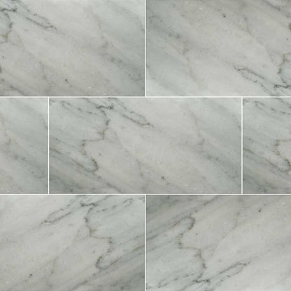 MS International Natural Stone Marble 12" x 24" Honed Carrara White