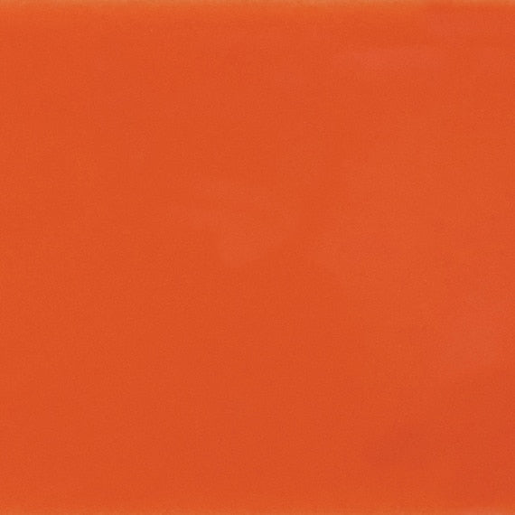 Daltile Natural Hues 2'' x 8'' Matte Orange Poppy