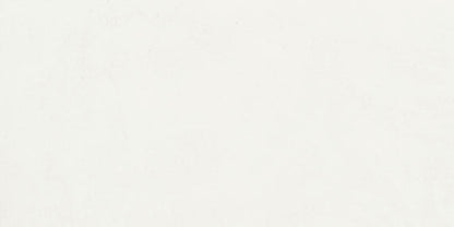 Daltile Portfolio 12" X 24" Microban Ice