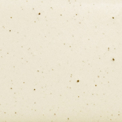 Daltile Natural Hues 4'' x 8'' Matte Freckles
