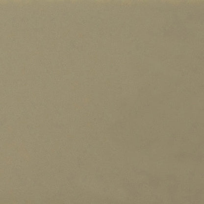 Daltile Natural Hues 2'' x 8'' Matte Birch