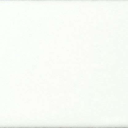 Daltile Color Complements 12" X 24" Glossy Carnation