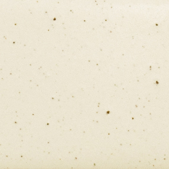 Daltile Natural Hues 6'' x 12'' Matte Freckles