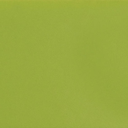Daltile Color Complements 8" X 24" Matte Matte Kiwi