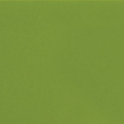 Daltile ColorMatch 12'' X 12'' Straight Mosaic 2'' X 4" Matte Matte Fern