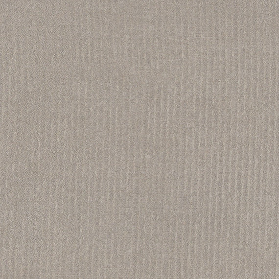 Daltile Prime 12" X 12" Matte Grey