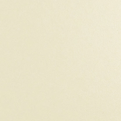 Daltile Natural Hues 2'' x 8'' Matte Ivory