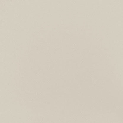 Daltile Minimum 24" X 24" Polished Beige