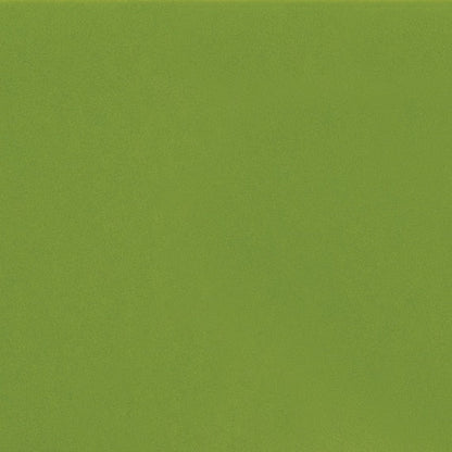 Daltile Color Complements 6" X 6" Matte Matte Fern