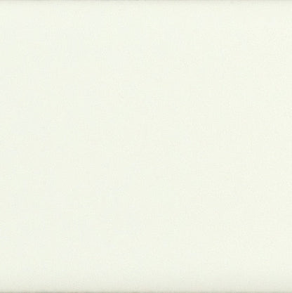 Daltile Color Complements 8" X 24" Matte Matte Pearl White